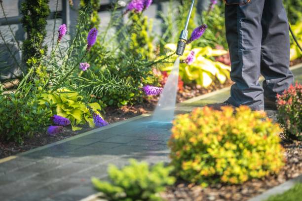 Best Driveway Pressure Washing  in Montague, CA